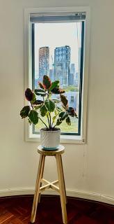 Superb City Views - Apartment, work or just relax! - Melbourne - 5