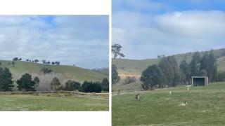 BrinCole - Bonnie Doon - 7