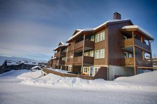 Bright, Open Apartment in Beitostølen - Beitostøl - 9