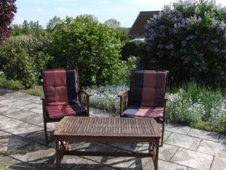 Ferienhaus Belle - FEWO Rose - Daschow - 7