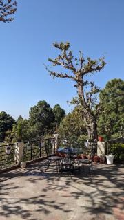 True Blue, Deluxe room in The Umri Lansdowne - Lansdowne - 4