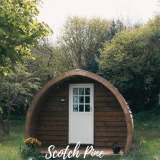 Caplor Glamping & Lodges - Hereford - 5