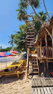 White Lion Paradise Dikwella - 3