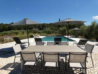 Scappo in Umbria, Casale Fasulo - Vigne - 6