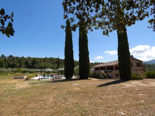 Scappo in Umbria, Casale Fasulo - Vigne - 5
