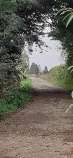 Gîte au Bonh'Air Indépendant - Wavrans-sur-lʼAa - 9
