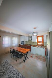 Sapanca Bendamil villa - Sapanca - 6