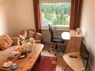 Apartment Harzsonne by Interhome - Clausthal-Zellerfeld - 4