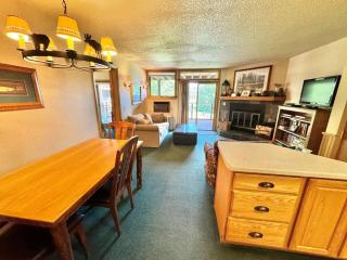 Condo at Lutsen Mtn, Ski in Ski out, Gorgeous views of Moose Mtn - 4