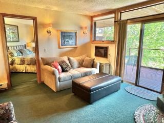 Condo at Lutsen Mtn, Ski in Ski out, Gorgeous views of Moose Mtn - 1