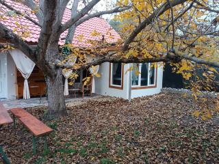 Eco-Wood Home - Ostoros - 6
