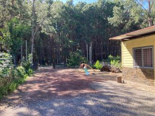 Un lugar ideal para disfrutar la naturaleza - Colonia Estrella - 7