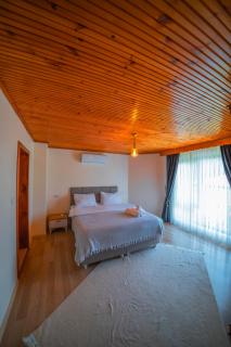 Sapanca Bendamil villa - Sapanca - 3