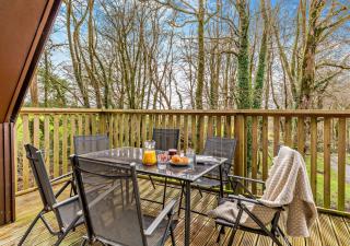 Treetops Lodge - 7