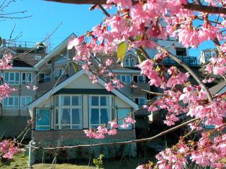 Dreamtown - Renai - 0