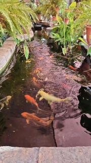 Garden Oasis Cottage - 3