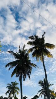 Jilan Homestay - Bentota - 5