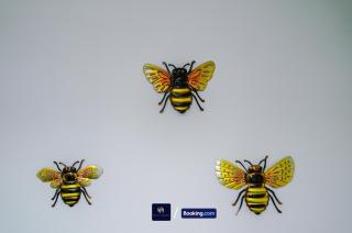 old 516 listing - Manchester - 2