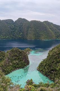 Misool Dayef Homestay - - 6