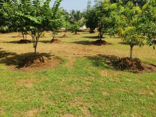 Siva Rama 3star comfort stay 4 room no 3&gardens , bheemili to dorathota - Visakhapatnam - 7