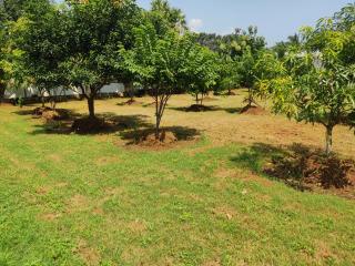 Siva Rama 3star comfort stay 4 room no 3&gardens , bheemili to dorathota - Visakhapatnam - 5