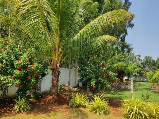 Siva Rama 3star comfort stay 4 room no 3&gardens , bheemili to dorathota - Visakhapatnam - 2
