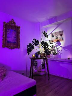 Exclusive Design Loft 60m2 whole Apartment in the center of Cracow with a view! - Krakow - 2