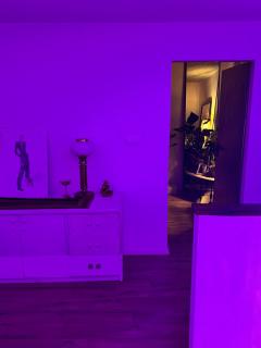 Exclusive Design Loft 60m2 whole Apartment in the center of Cracow with a view! - Krakow - 7