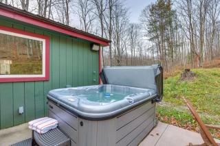 Finger Lakes Retreat Cohocton Cabin on 25 Acres! - Cohocton - 8
