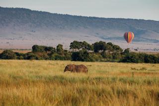 Villa Kudu - Exclusive and Serviced Safari Villa near Kruger Park - Hoedspruit - 7