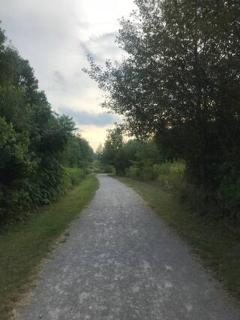 Private Walkout basement apartment separate entrance - Richmond Hill - 5