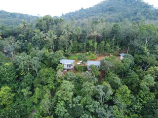 Serenehills Retreat - Idukki - 1