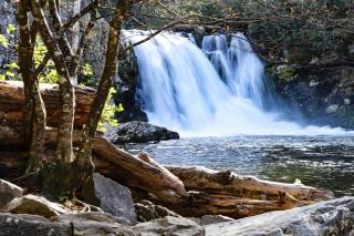 Heavenly River Cedar Lodge 703 - 2