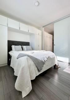 Rooftop penthouse with aurora terrace - 1