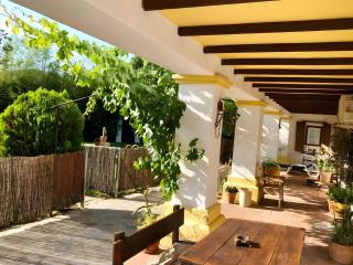 Casa Cantarrana - Arriate - 8