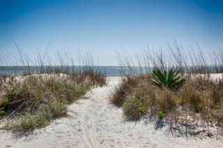22 Sand Dollar Road | Koi Cottage - Hilton Head Island - 8