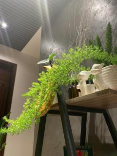 Ekehaus Đà Lạt - Khu Chi Lăng - 4