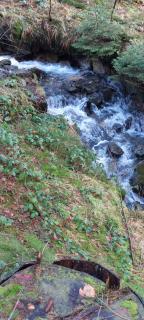 Schnucki Lautenthal - Lautenthal - 8