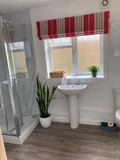 The Firs, Frampton Lane, Boston, Lincolnshire, PE20 1SH - Boston - 6