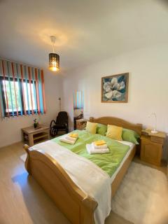 Villa Luiza C - Şura Mare - 9