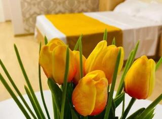 Happy Home - Kutaisi - 4