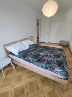 Kirchenfeld appartement - Berna - 2