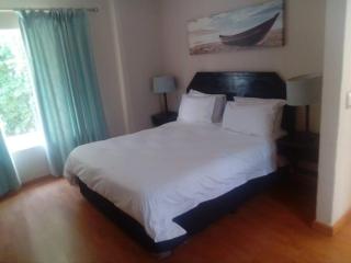 Daisy St -One Bedroom Apartment - Joanesburgo - 0