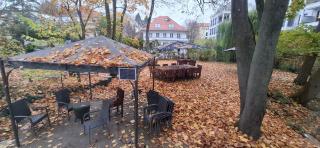 King David Garden - Berlin - 5