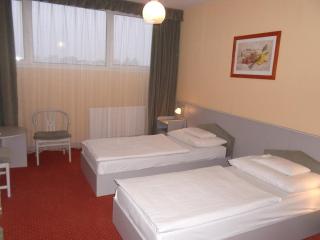Hotel Bodrog Wellness & Elix Spa - 5