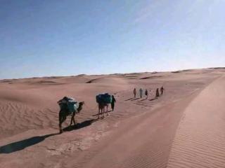 Organisation Des Excursions & Bivouac dans le désert - 4