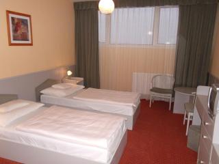 Hotel Bodrog Wellness & Elix Spa - 2