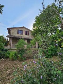 Il casaletto di Simeone - Amelia - 3