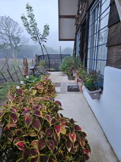 Canada House Queen bed in 2nd floor dbl sofa bed in 1st floor BBQ Private pool, river - Jarabacoa - 5
