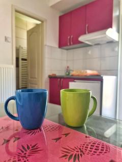 Maja Vujković Apartman 5 - Sokobanja - 6